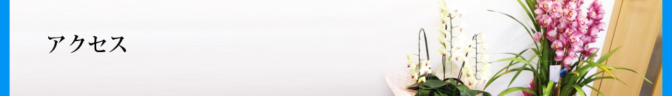 アクセスアイキャッチ
